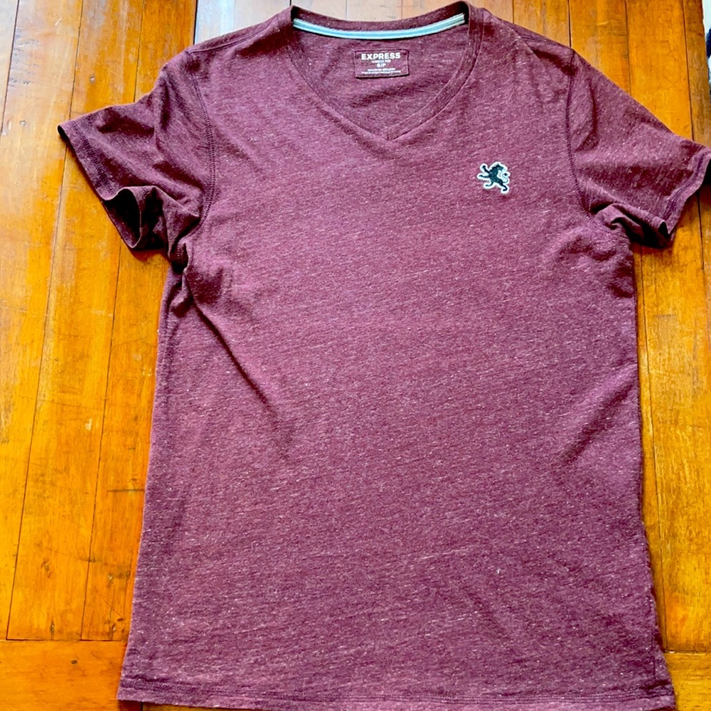 Men's Express V-Neck small (lightly worn)
